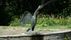 Brunnenfigur &bdquo;Schwan&ldquo; | <a class="print" href="#" onclick="return hs.printImage(this)">Bild drucken</a>